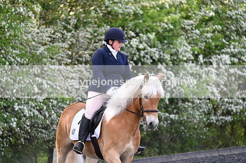 WJ7_8000 - Time 10:11 to 10:27