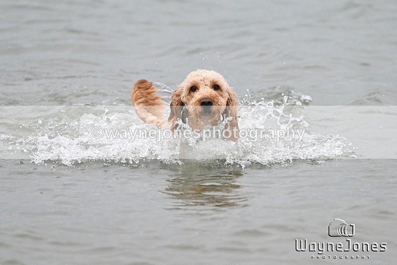WJ7_9857 - Hayling Island Beach Shoot 22-09-24