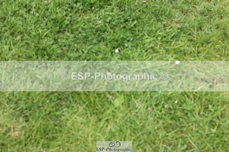 240704-112202-02321 - Cls 1 Foxhunter