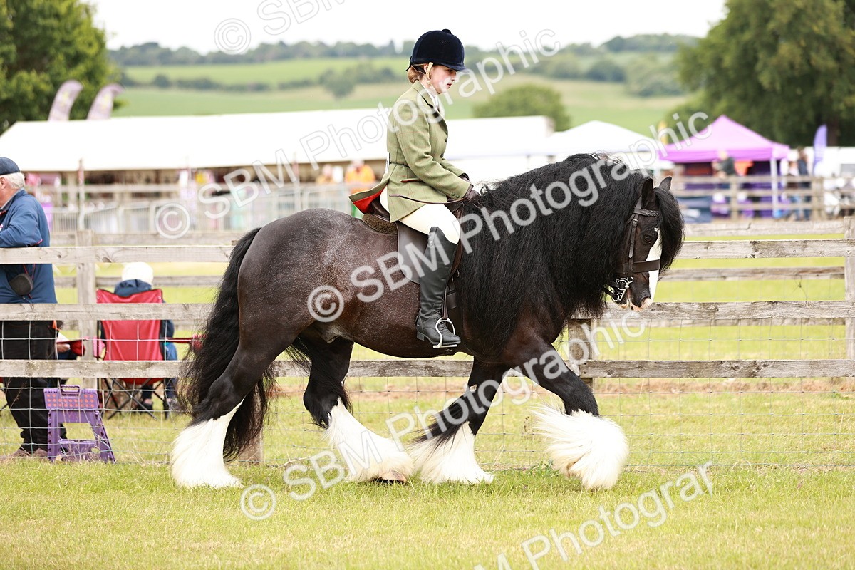 SBM_06091 - Class 39-41 TGCA In Hand and Ridden