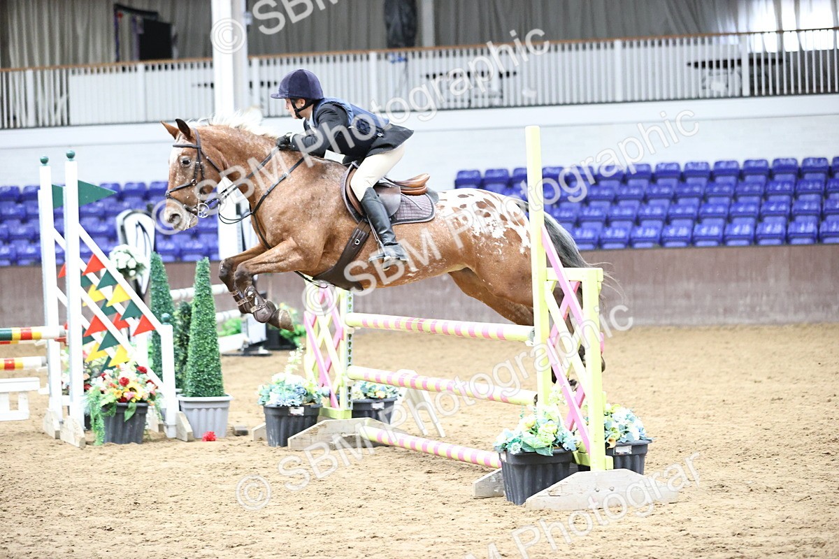 SBM_002395 - Class 11 - Pony Discovery - 90cm Open