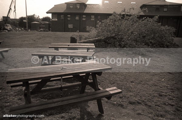 29 - Hulme Gallery (c)