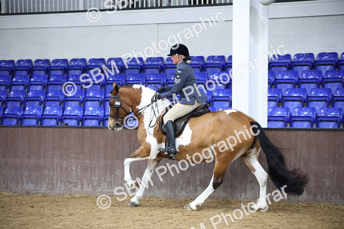 5K7A6113 - Class 48 - Ridden Mare