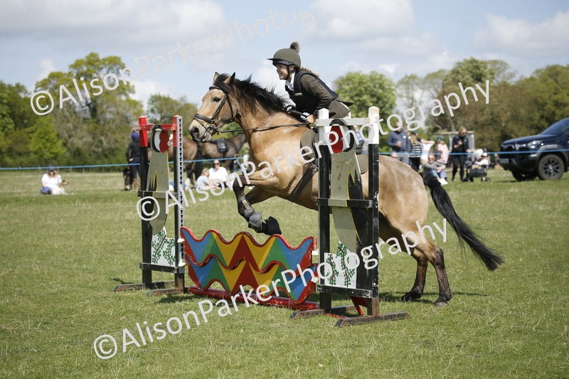 20250427-3481 - Class 14 - Absolute Novice 70cm