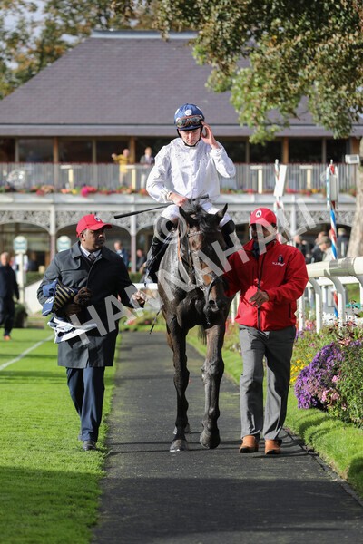 yr07102022r4-53 - Race 4 3.50pm William Hill Best Odds Guaranteed Stakes