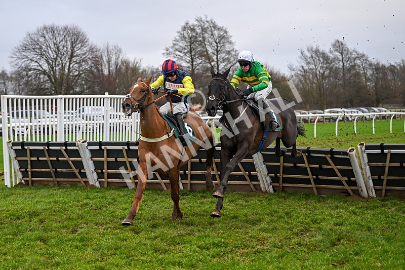 110124-Race 4-Hasthing-2590 - Race 4