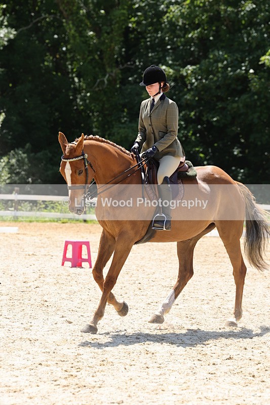 1X9A1876 - Class 12: Ridden Riding Horse/Hack