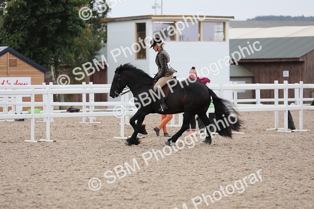 SBM_18087 - Class 316 Best Pony/Rider Combination