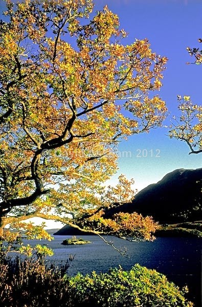 Lakeland autumn - Autumn