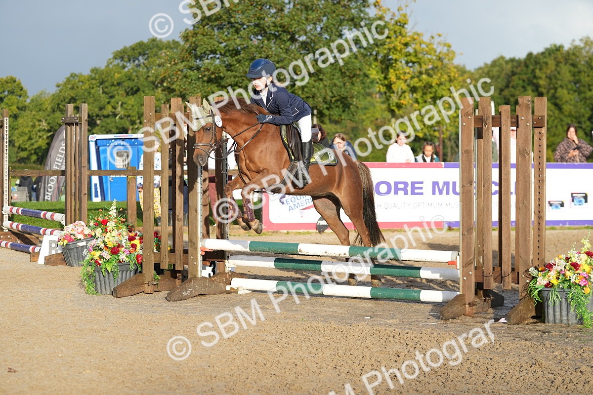 SBM_32298 - J5 - Junior Pony 50cm Championship