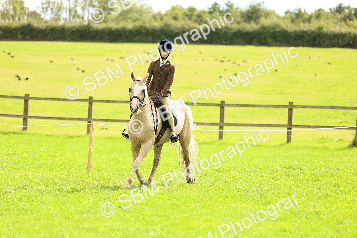 SBM_45379 - S33 - Working Hunter Pony