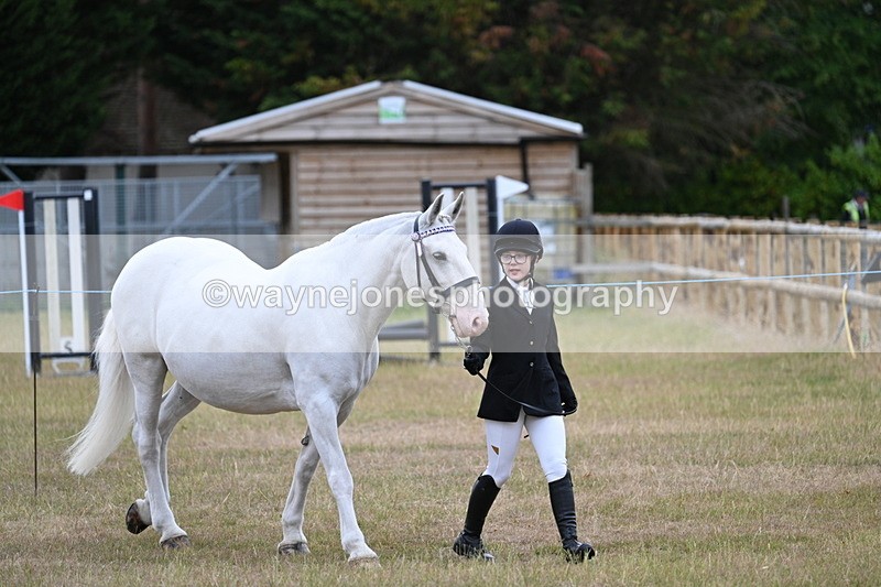 WJ7_9063 - Class 4a Prettiest Mare 14.2hh and over