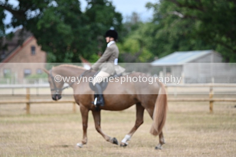 WJ6_7371 - Class 9 Tack and Turnout