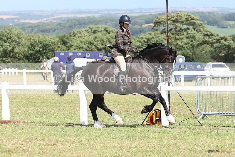 JPP_2289 - Class 19: Working Hunter 60cm