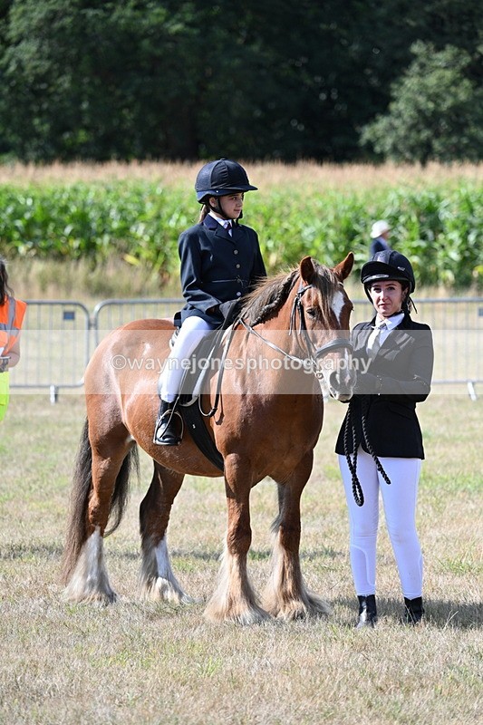 WJ7_2722 - Class 8 Ridden Tack & Turnout