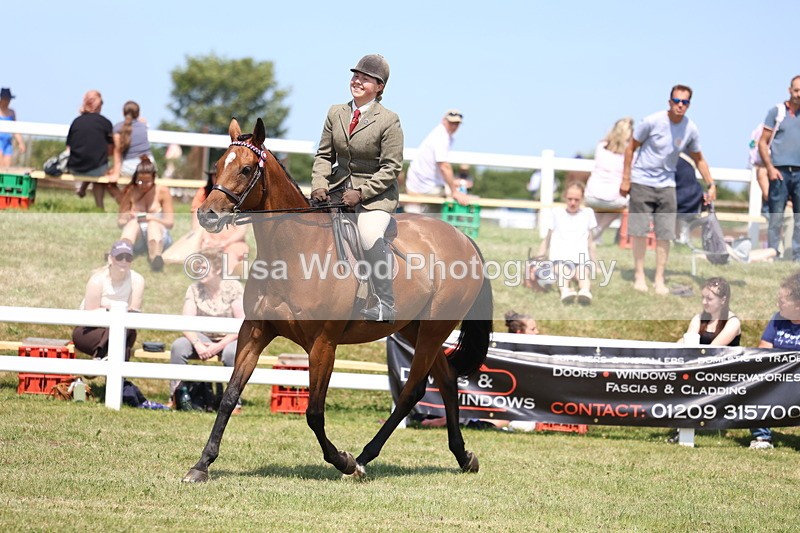 3E7A9394 - Class 12: Open Racehorse to Show Horse