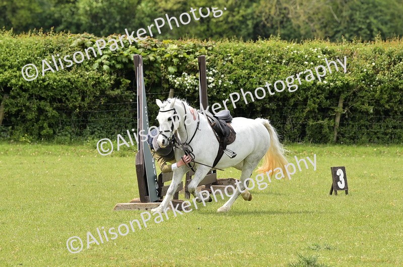 20260426-2415 - Class 21 - Working Hunter Ponies