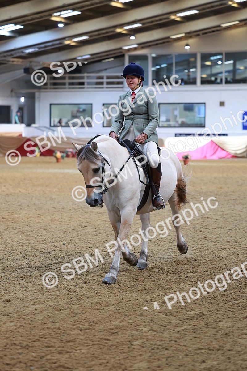 SBM_09514 - Class 102 - HOYS Veteran Qualifier - Ridden Veteran