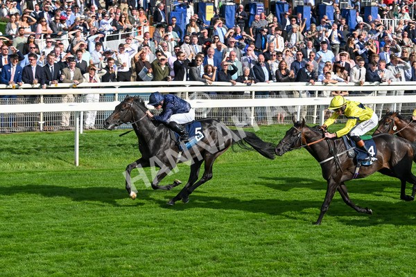 220825-Race 6-Frescobaldi-7774 - Race 6 4.45pm British Stallion Studs EBF Convivial Maiden Stakes