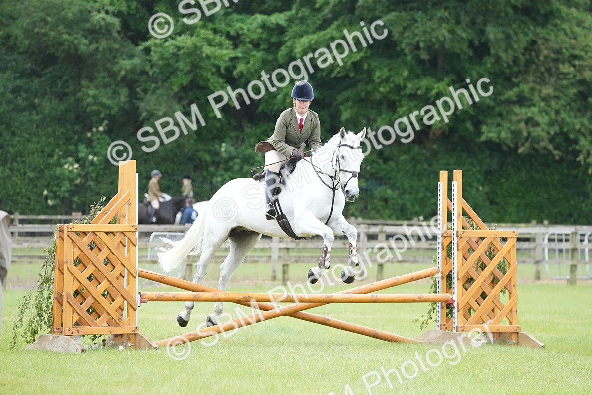 SBM_12587 - Class 97-98 - LIHS BSHA Rising Star Working Show Horse Hunter