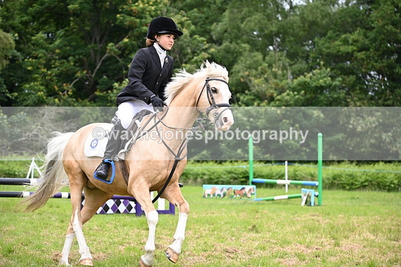 WJ6_5652 - Class 5 pairs 70cm