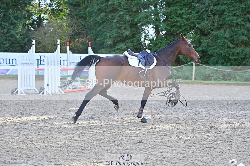 241027-134412-17611 - 511-Rosie.Doe-LOUIS