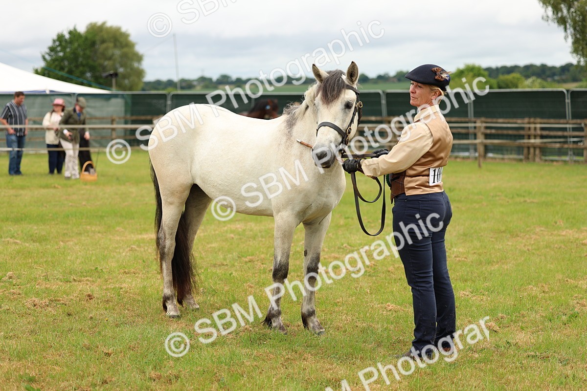 SBM_04115 - Class 64-67 - Shetland Pony In Hand