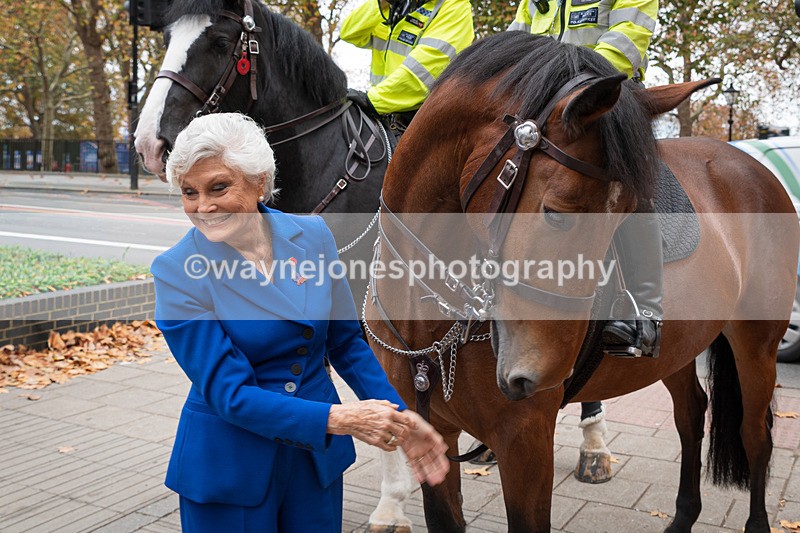 Z62_4497 - Animals In War Memorial 2025 - Park Lane, London