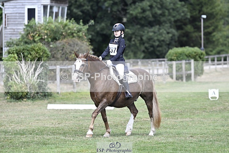 250821A-123348-15589 - DR 11.00 to 12.00