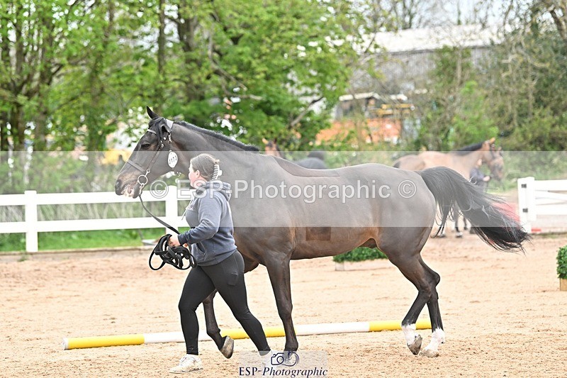 250423-160313-01913 - 4pm to 5pm