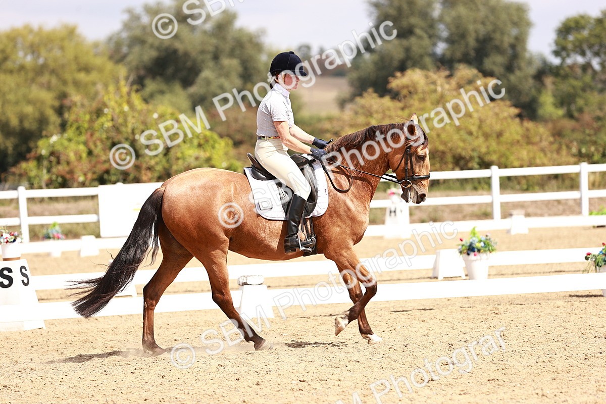 SBM_018562 - Class 17 - Novice 6