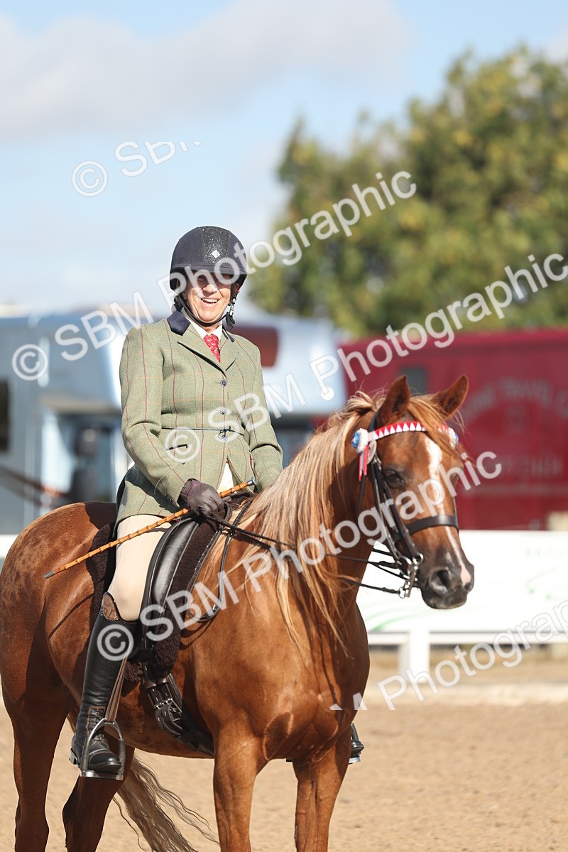 SBM_22320 - Class 803 - Ridden Combination 65+