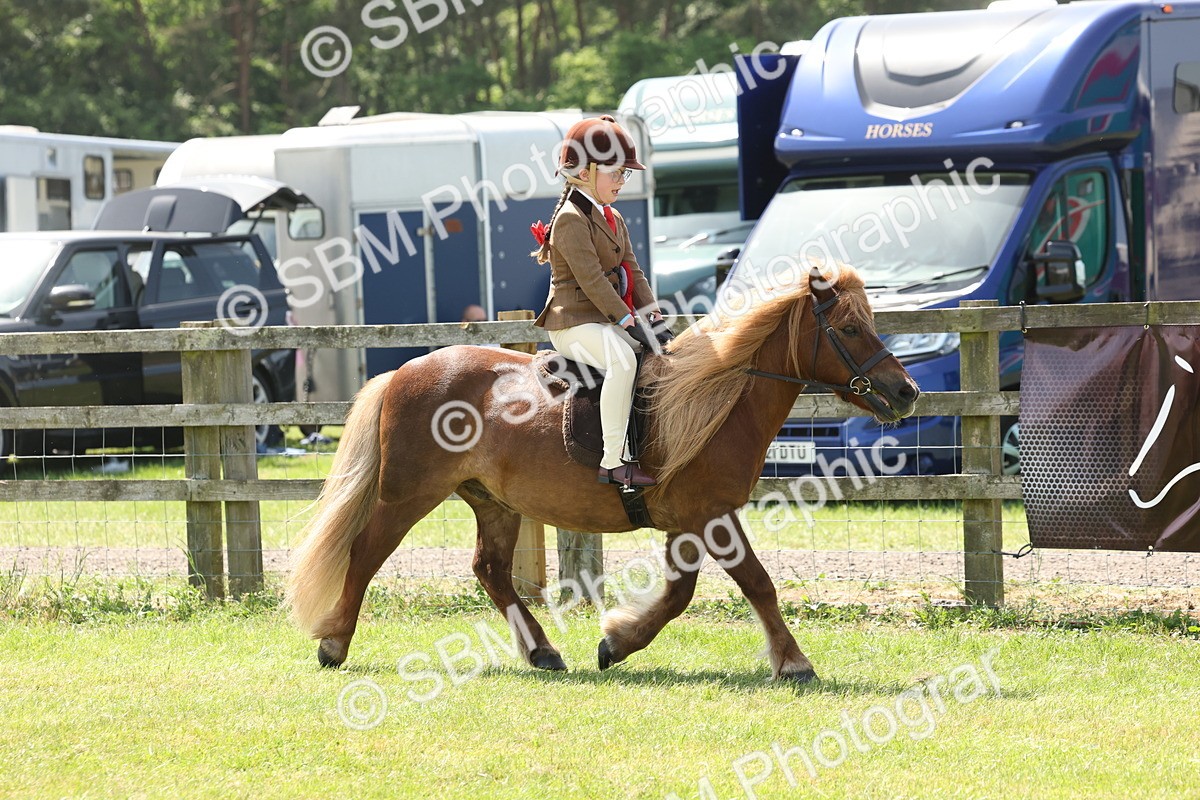 SBM_05436 - Class 24-25 - Mountain & Moorland In Hand Lead Rein and First Ridden
