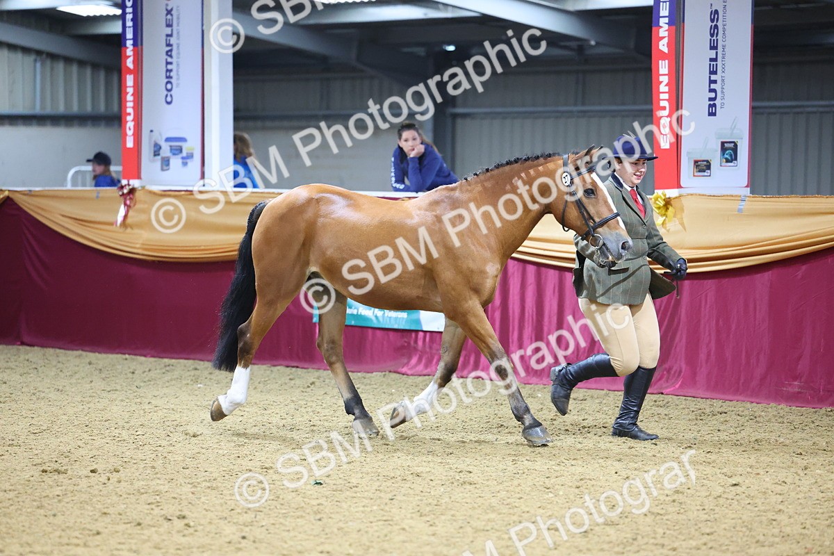 SBM_19610 - Class 901 - Supreme Final - IH Diamond