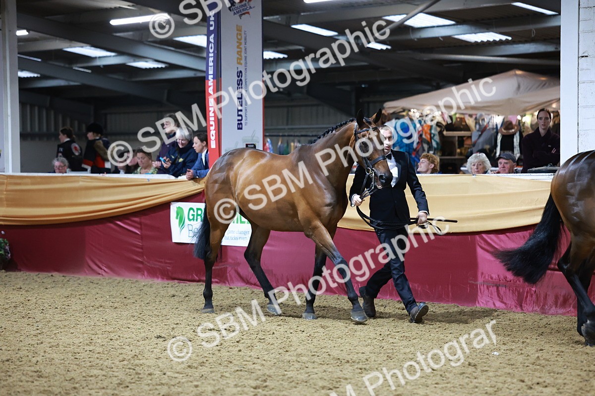 SBM_20623 - Class I - Ridden Pony Champ