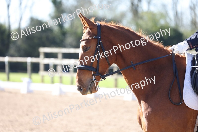 20260318-0170 - Class 2 - Intro 4