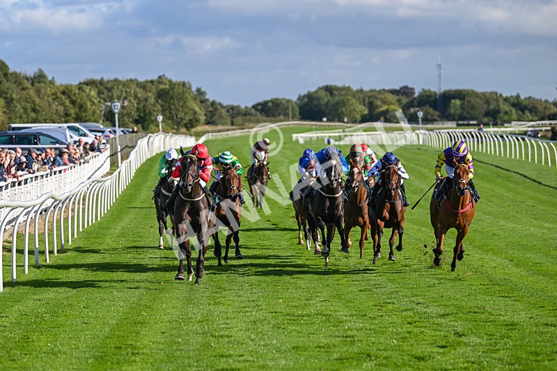 100924-Race 5-Crocodile Power-0423 - Race 5