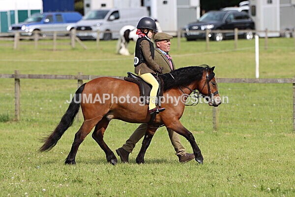 IMG_2181 - Working Hunter