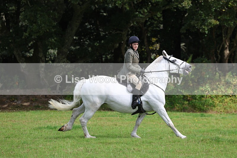 3E7A5866 - Class 26 and 27: 70cm Working Hunter