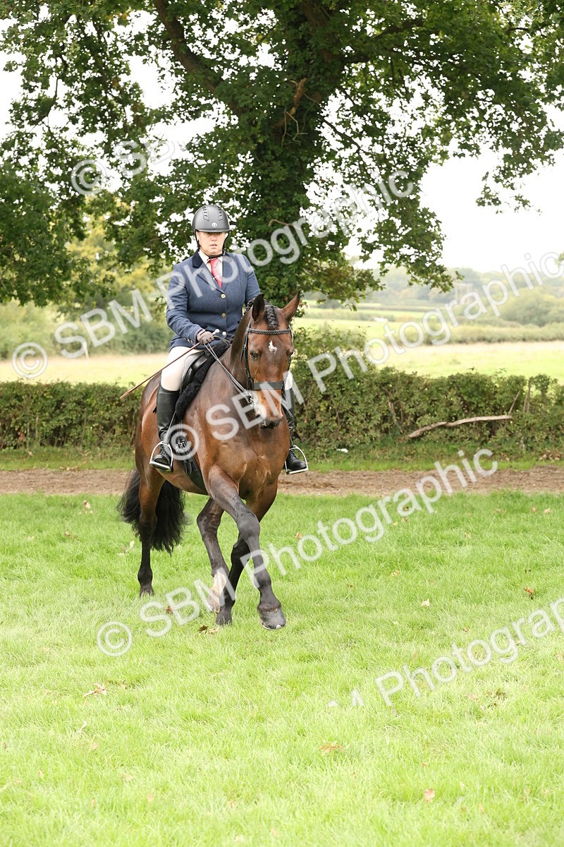 SBM_63011 - S64 - Foreign Breeds Ridden