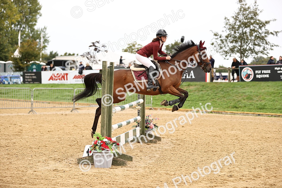 SBM_58351 - J41 - Grand Tour Horse & Pony 95cm