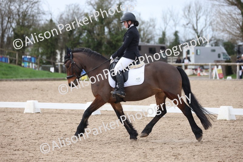 20260301-0935 - Class 6 - Elementary 5