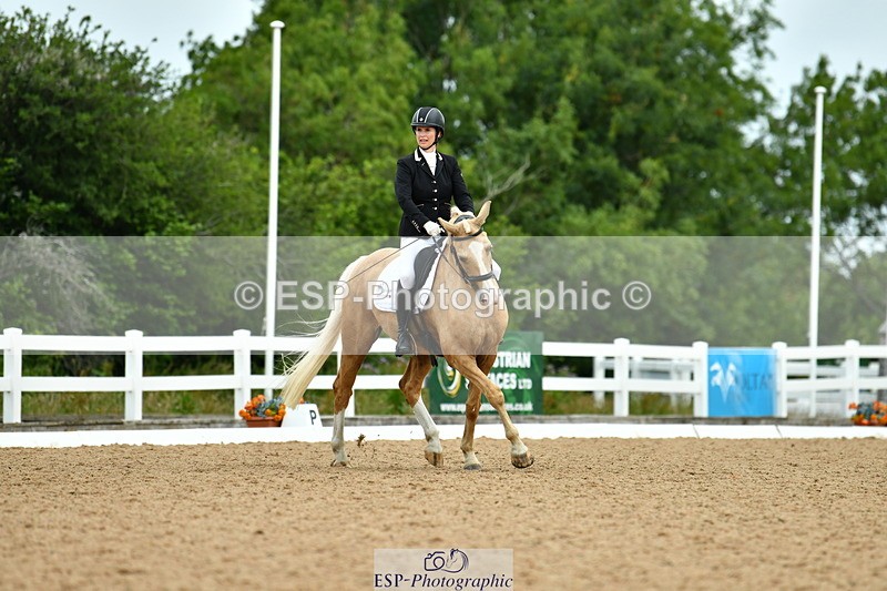 230702A-122313-09608 - Cls 28 Elementary 45