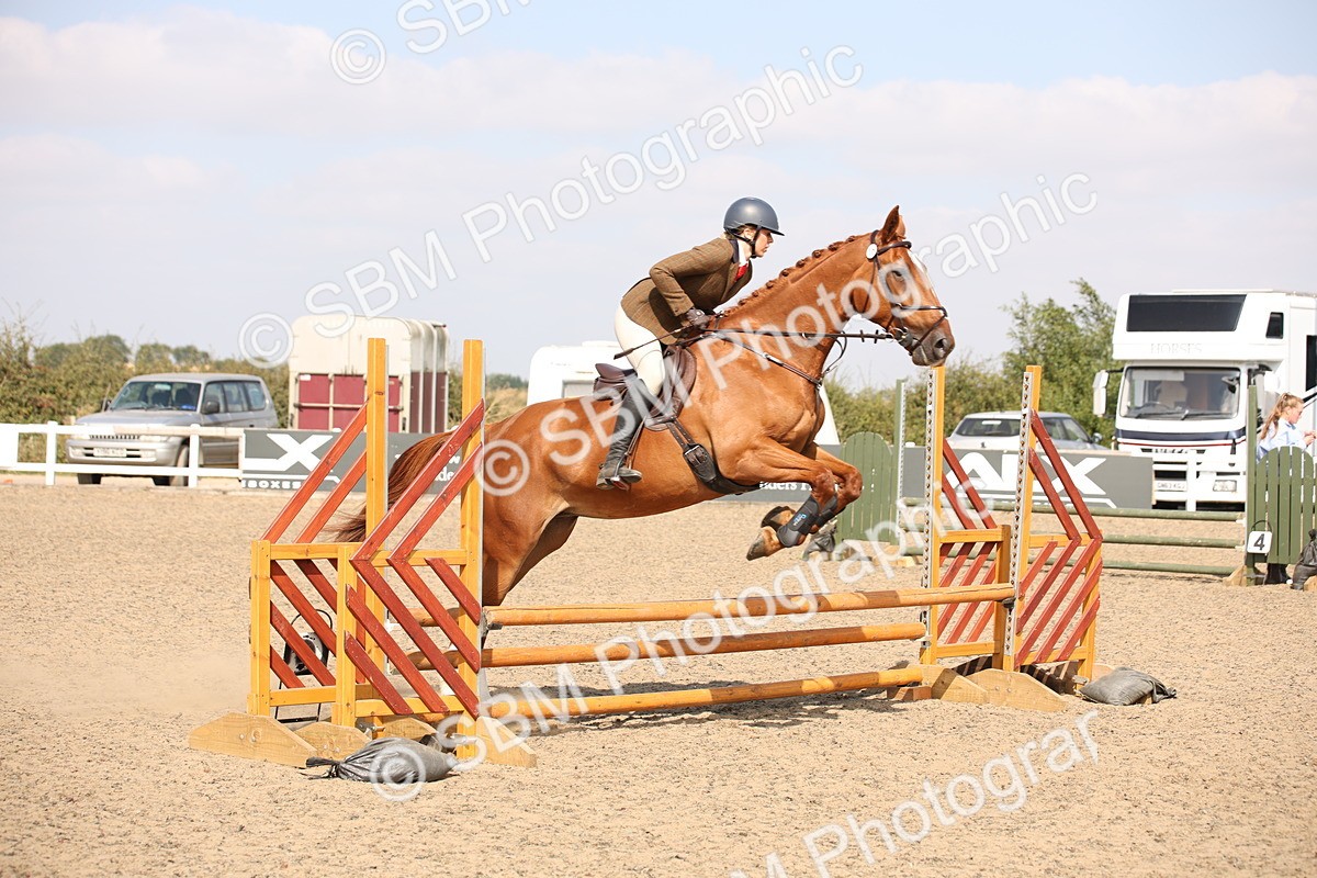 SBM_15017 - Class 408a - Working Veteran 70cm (15-19