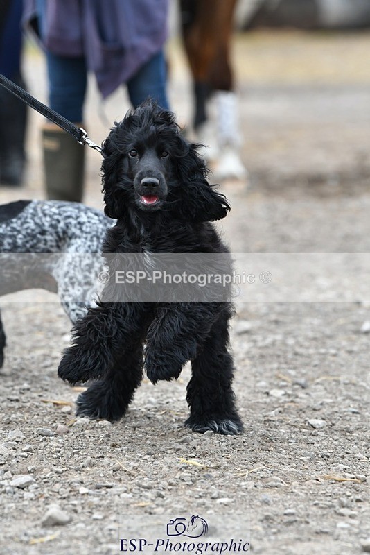 230817-124221-02800 - Stable Shots