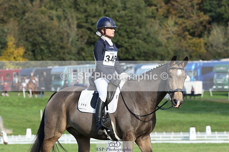 251024A-103208-07786 - D-345-Neve.Webber