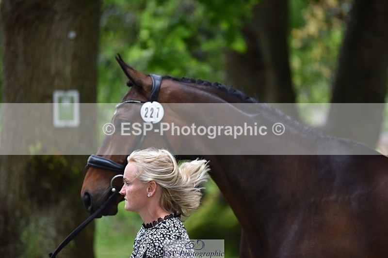 240522-165356-01238 - 227-FIREBALL_III-Oda_Christine_Lippestad