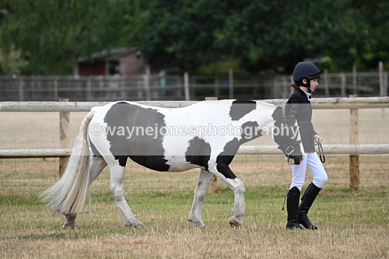 WJ6_4151 - Class 10 Coloured In-hand