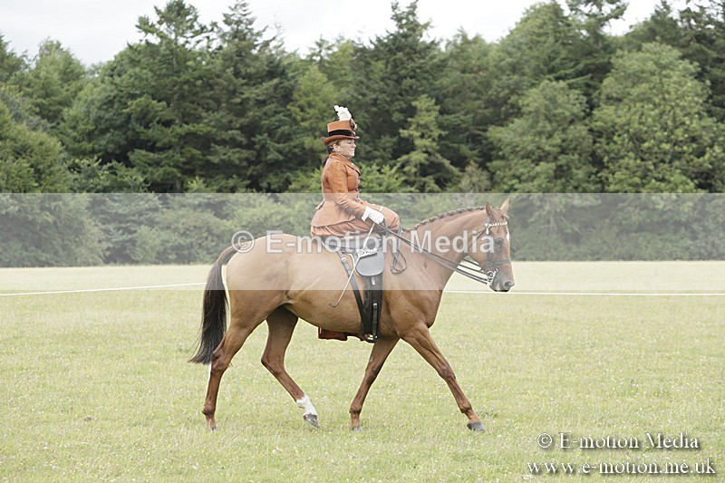 BVR160717-2422 - Side Saddle Classes 16/07/17