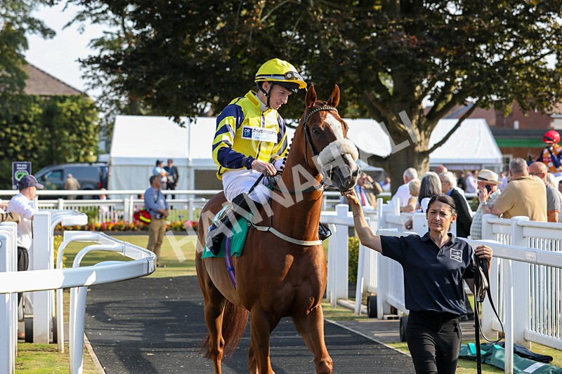 300824-Race 8-Captain Corelli-0749 - Race 8